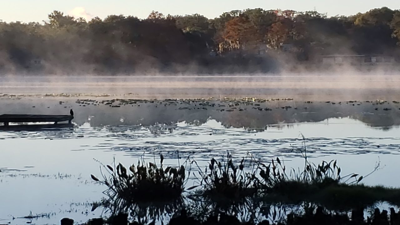 Christmas Eve Eve brings a gift of more chilly weather to...